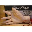 画像5: THE WIGGLIN’HAND (5)