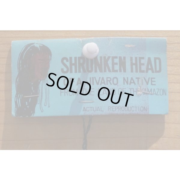 画像4: SHRUNKEN HEAD 【A】 (4)