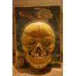 画像1: 80s SKULL HALLOWEEN NIGHT LITE 【A】 (1)