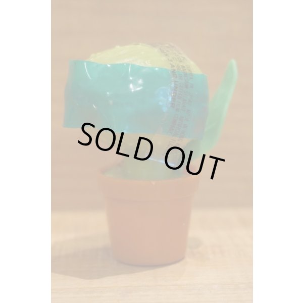 画像1: LSOH キャンディーコンテナー 【C】 (1)