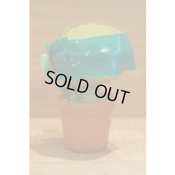 画像3: LSOH キャンディーコンテナー 【C】 (3)