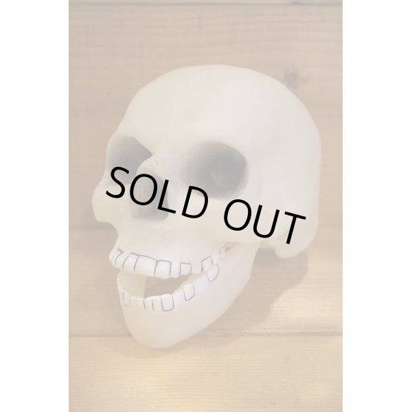 画像1: SKULL ソフビヘッド (1)