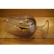 画像6: TRIOK BRANDY GLASS (6)