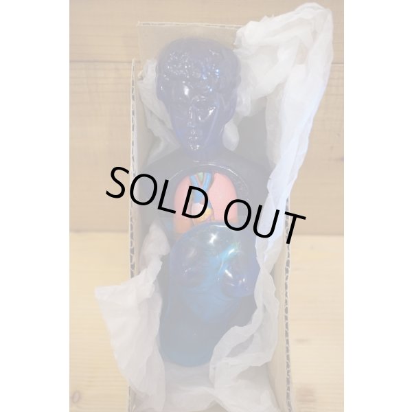 画像8: ヌード ヴィーナス 人体模型 (8)