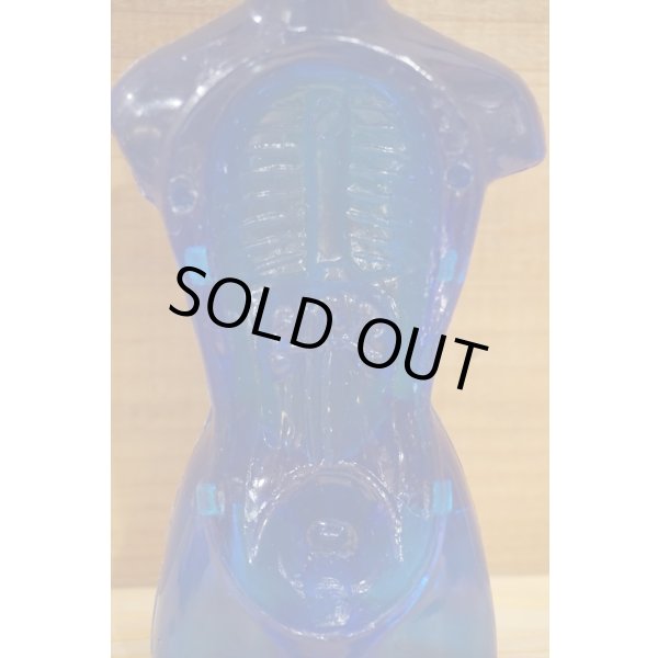 画像7: ヌード ヴィーナス 人体模型 (7)