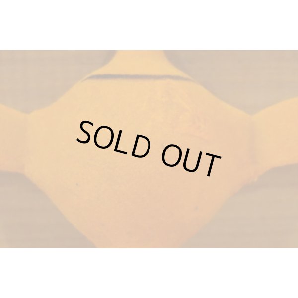 画像6: Flocky Bird (6)