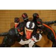 画像5: VENOM THE MADNESS【A】 (5)