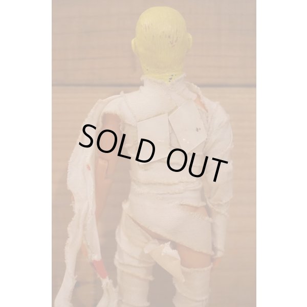 画像5: AHI MUMMY (5)