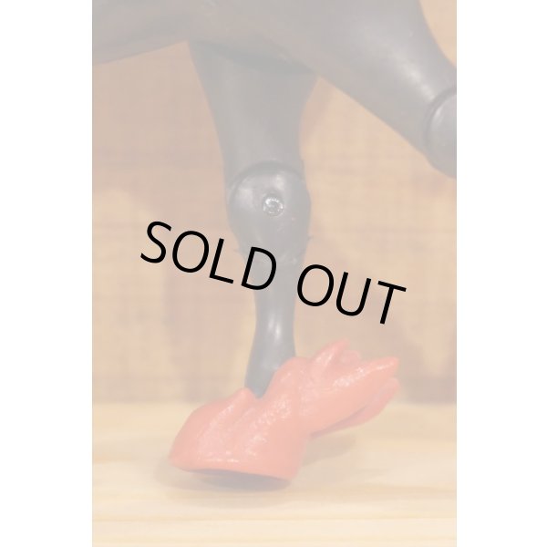 画像6: DRAGON RIDERS (6)