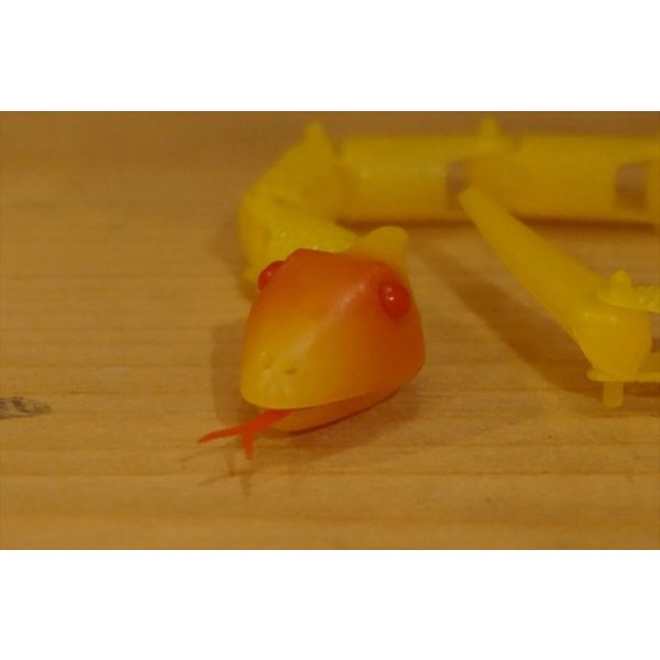 画像5: Sneeky Snake【A】 (5)