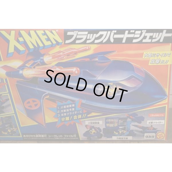 画像3: ブラックバードジェット (3)