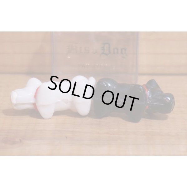 画像5: Kiss Dog (5)