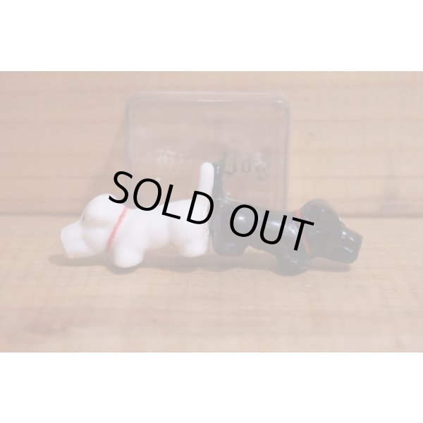 画像4: Kiss Dog (4)