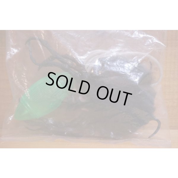 画像3: ジャンピング スパイダー (3)