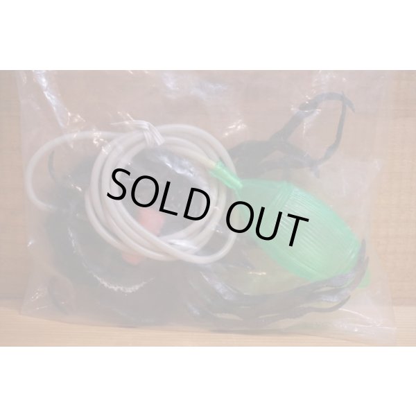 画像6: ジャンピング スパイダー (6)