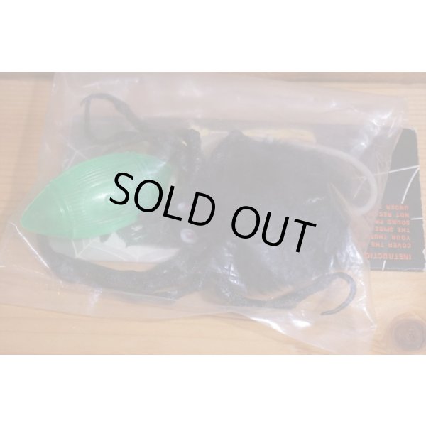 画像5: ジャンピング スパイダー (5)