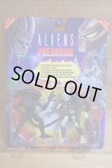 画像: ALIEN vs PREDATOR【C】