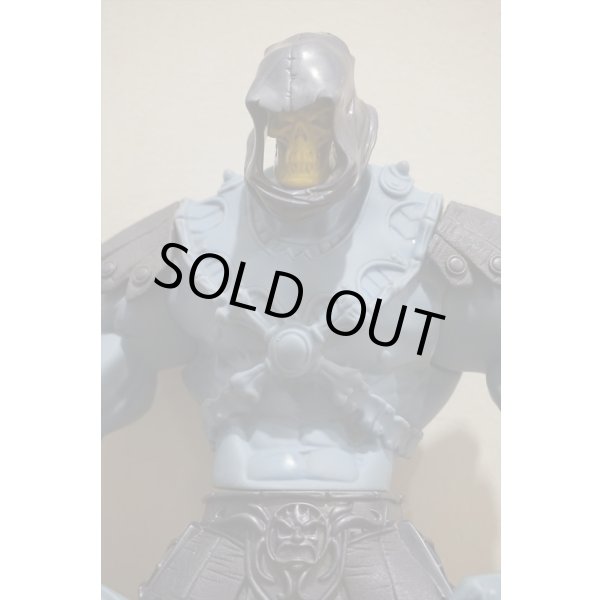 画像2: 詳細不明 SKELETOR (2)