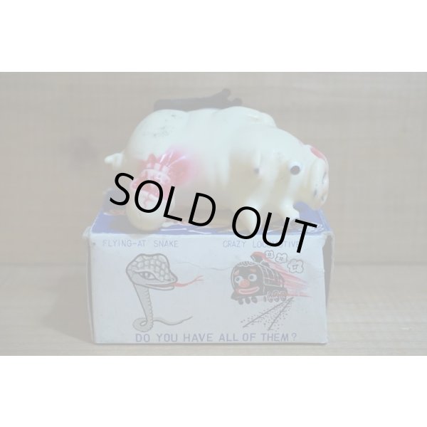 画像6: SHUDDER PIG【C】 (6)