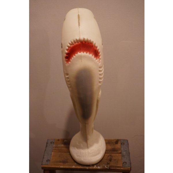 画像3: THE GREAT WHITE SHARK BANK【B】 (3)