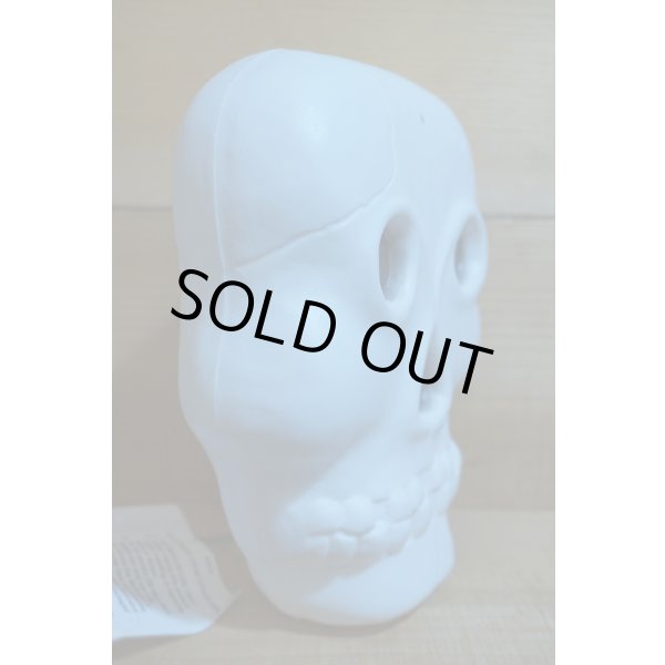 画像7: BLINKY GLOW LITE (7)