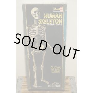 画像: Revell HUMAN SKELETON【A】