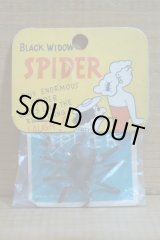 画像: BLACK WIDOW SPIDER
