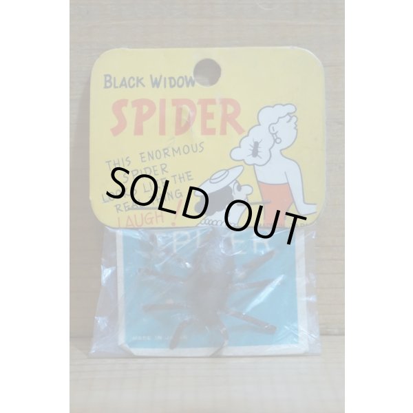 画像1: BLACK WIDOW SPIDER (1)