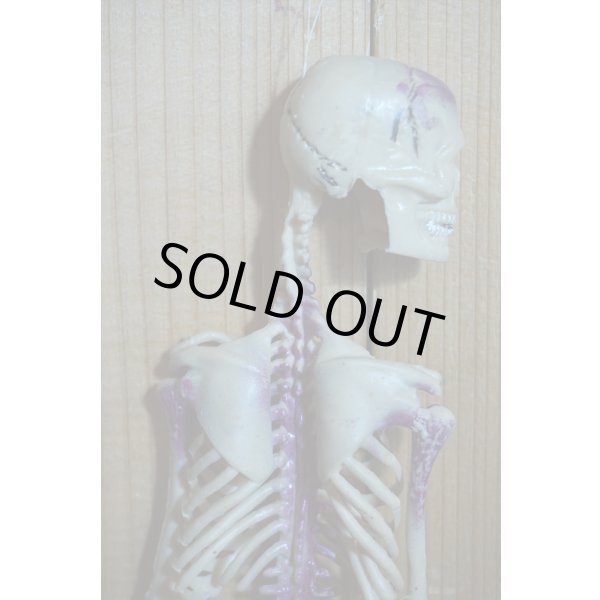 画像8: RUBBER SKULL【H】 (8)