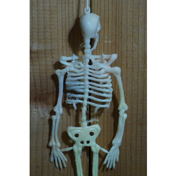 画像5: ラバー ガイコツ チープトイ【A】 (5)