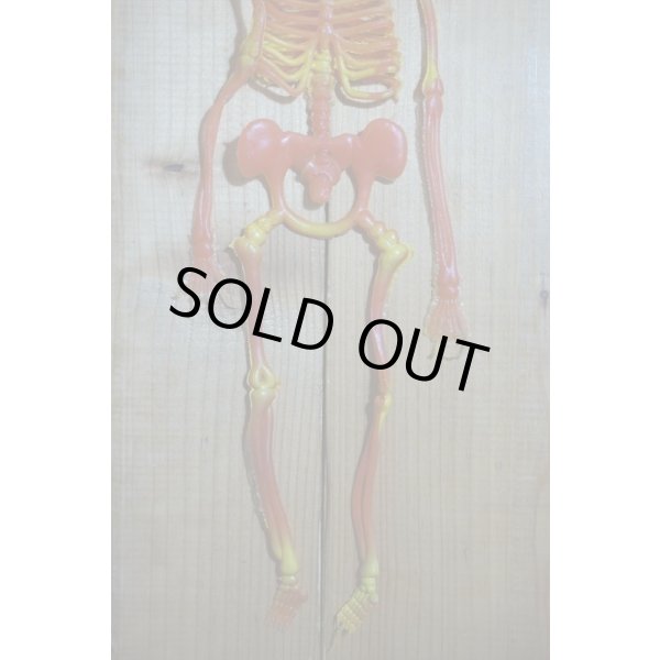 画像5: RUBBER SKULL【E】 (5)