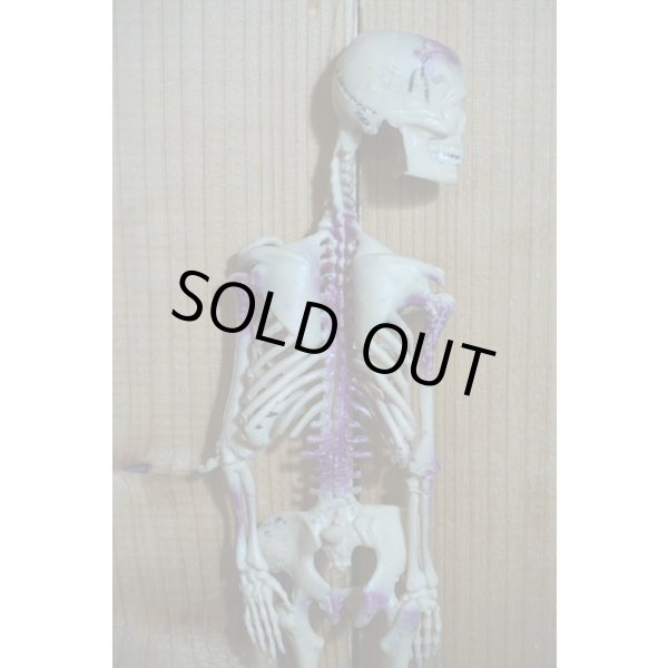 画像6: RUBBER SKULL【H】 (6)