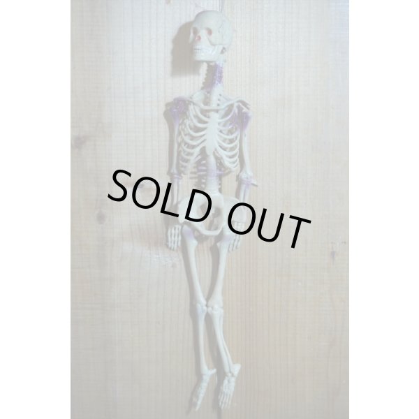 画像5: RUBBER SKULL【H】 (5)