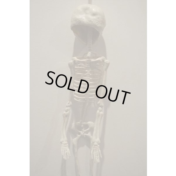 画像7: RUBBER SKULL【I】 (7)