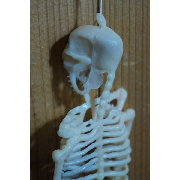 画像7: ラバー ガイコツ チープトイ【A】 (7)