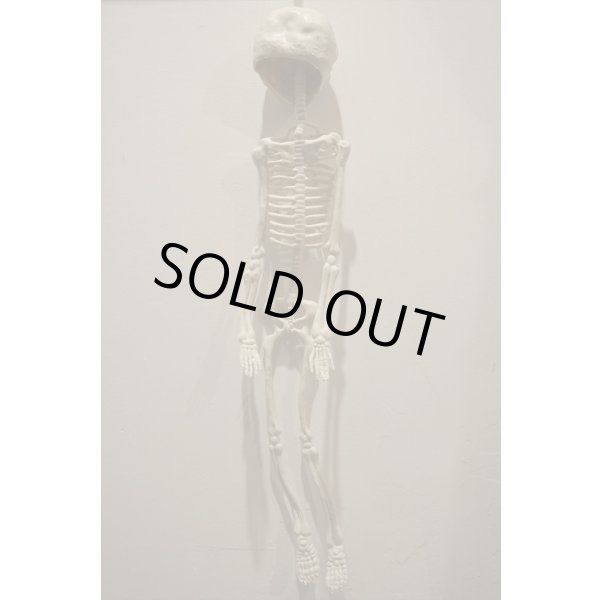 画像6: RUBBER SKULL【I】 (6)