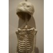 画像8: RUBBER SKULL【I】 (8)