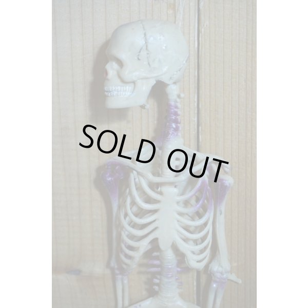 画像7: RUBBER SKULL【H】 (7)