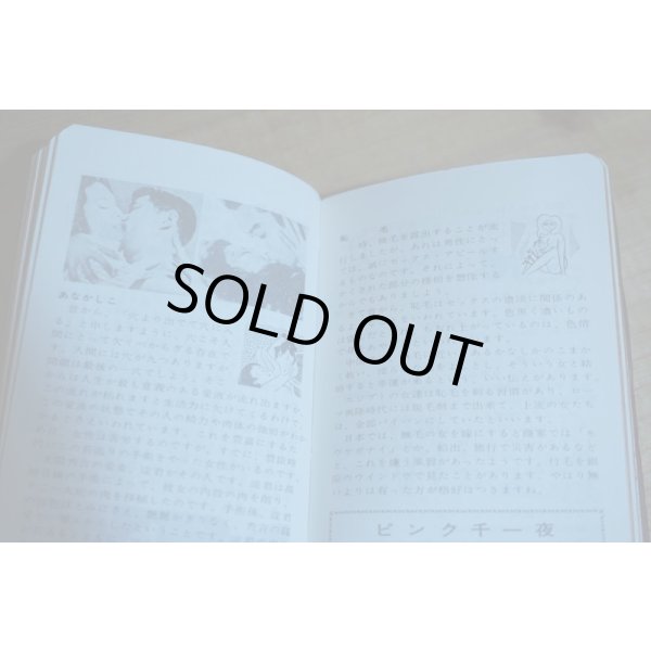 画像7: 大人の秘密手帳【A】 (7)