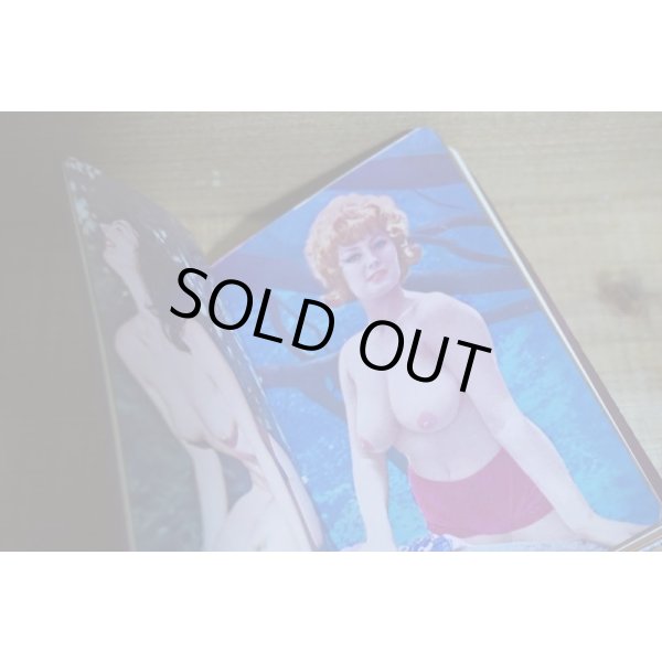 画像4: 大人の秘密手帳【A】 (4)