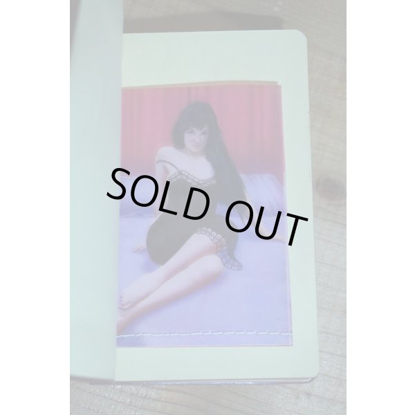 画像3: 大人の秘密手帳【A】 (3)