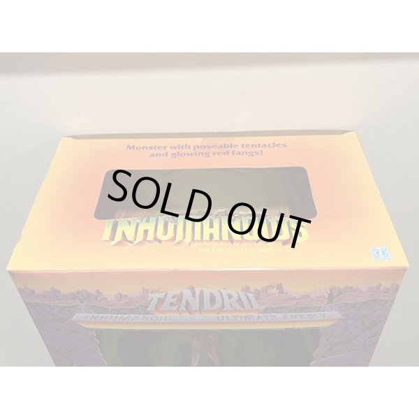 画像6: TENDRIL (6)