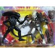 画像2: ALIEN vs PREDATOR【D】 (2)