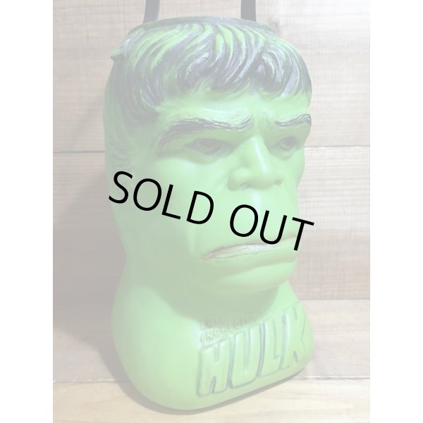 画像2: 70s HULK BUCKET【B】 (2)