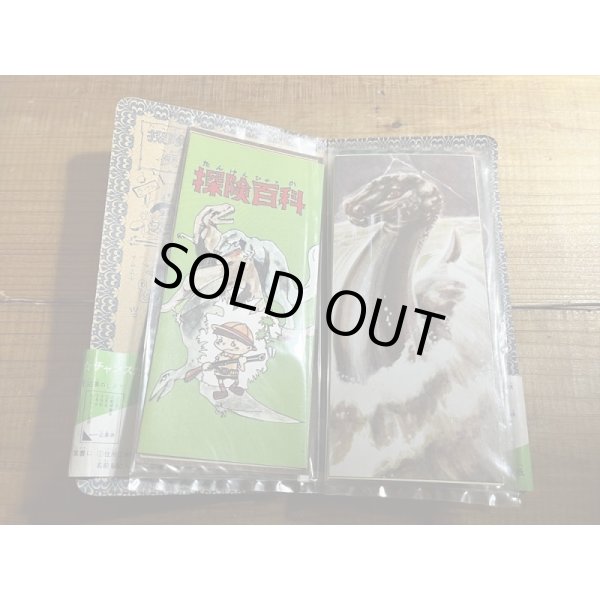 画像5: サンスター 探検セット (5)