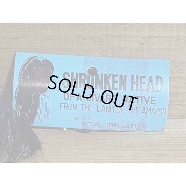 画像7: SHRUNKEN HEAD【B】 (7)