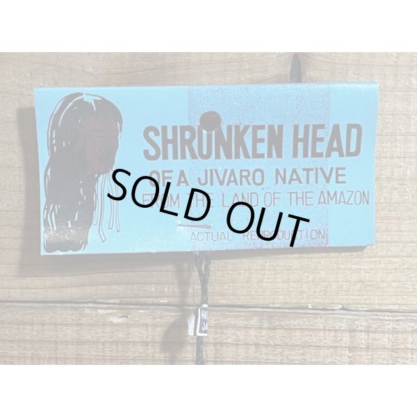 画像6: SHRUNKEN HEAD【C】 (6)