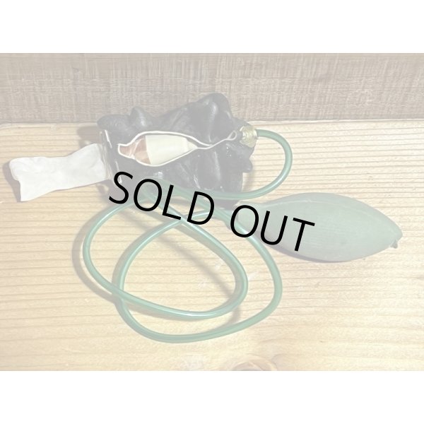 画像5: クモのヌード出し【C】 (5)