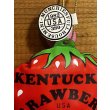 画像3: KENTUCKY STRAWBERRY 空ビ人形 (3)