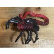 画像2: QUEEN FACE HUGGER ※loose (2)